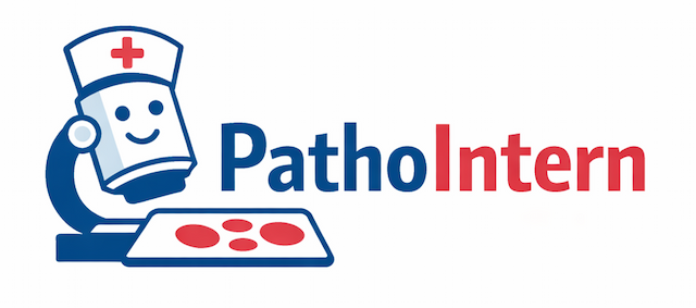 PathoIntern – AI-assisted blood smear triage